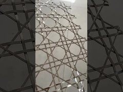 Αρχιτεκτονική Χάλυβα υφασμένα δίχτυα